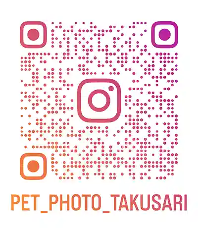 スタジオペット写真撮影専用INSTAGRAMアカウントのQRコード